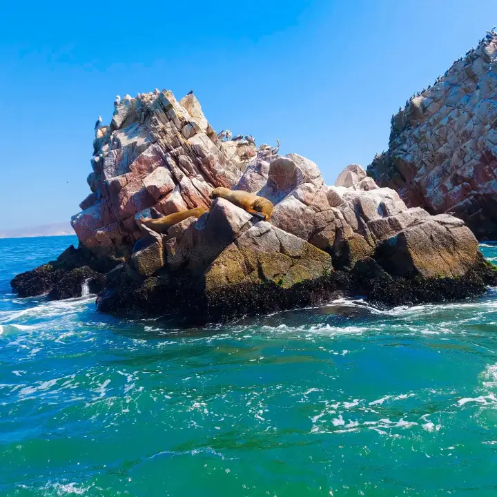 Ballestas Islands – Tambo Colorado Tour (Full Day)