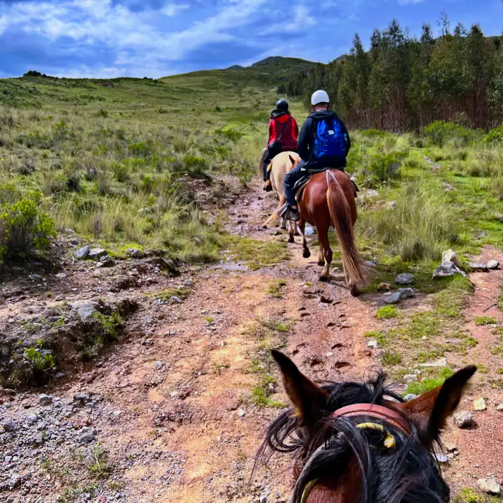 Cabalgata en Sacsayhuaman – 1/2 Día