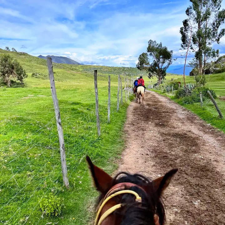 Cabalgata en Sacsayhuaman – 1/2 Día