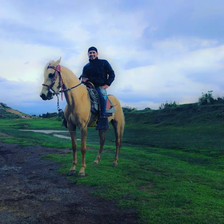 Cabalgata en Sacsayhuaman – 1/2 Día