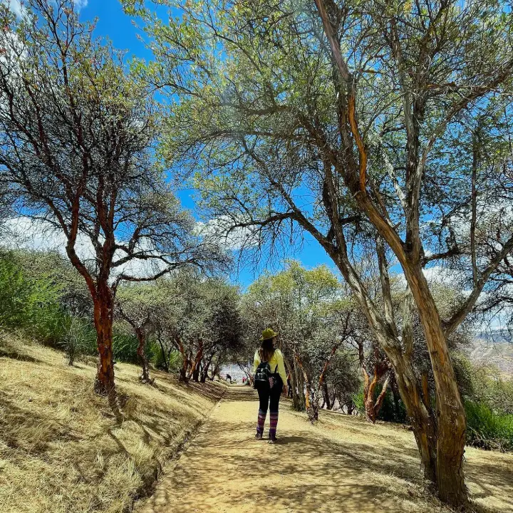 Cabalgata en Sacsayhuaman – 1/2 Día