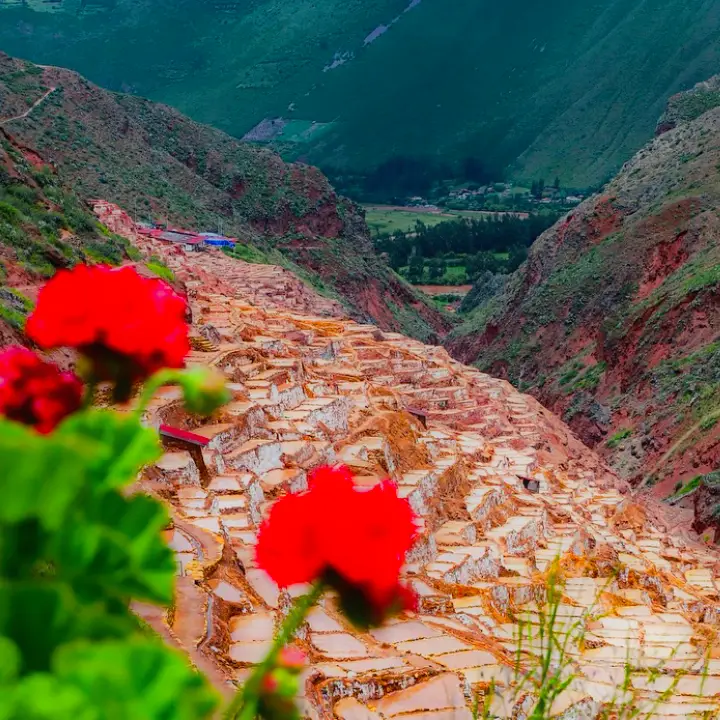 Tour a Maras – Salineras – Moray 1 Día